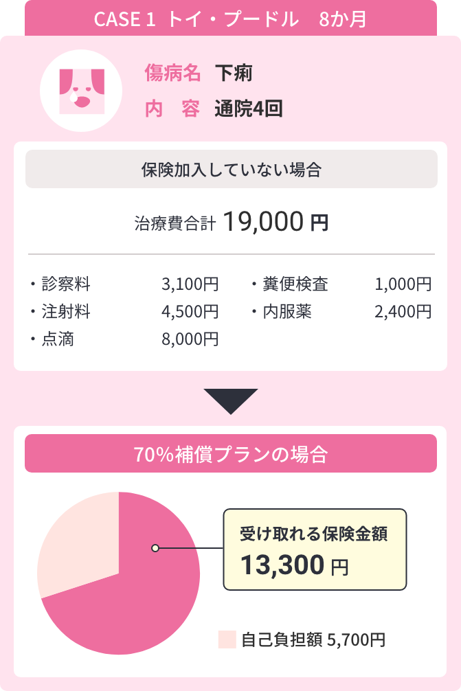 CASE 1 トイ・プードル 8か月