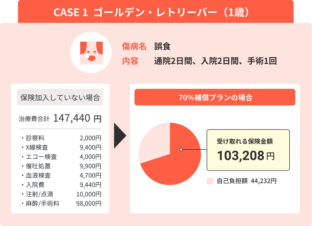 CASE 1 チワワ 3歳