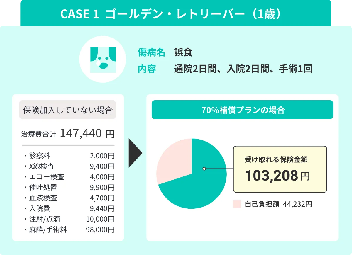 CASE 1 チワワ 3歳