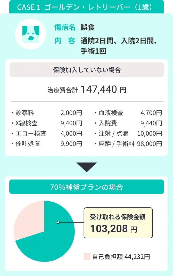 CASE 1 チワワ 3歳