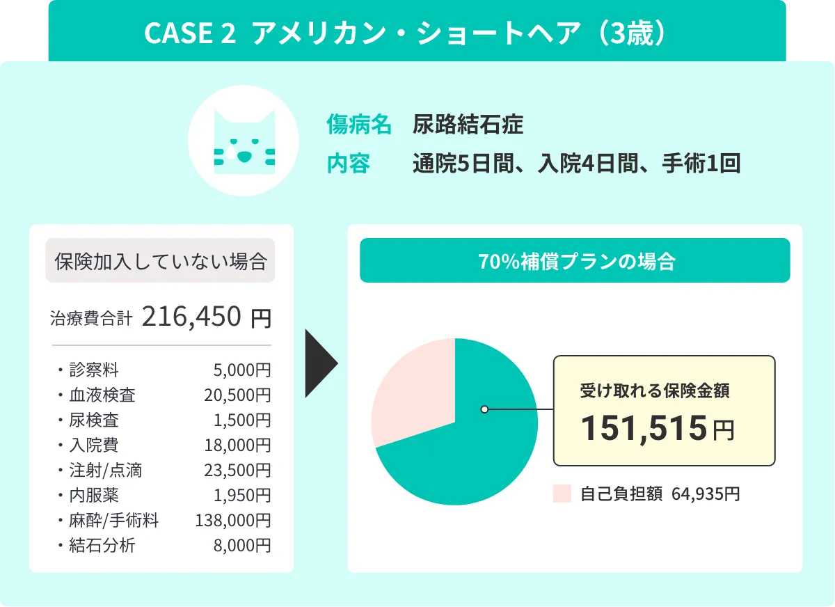 CASE 2 ミニチュア・ダックスフンド 8歳