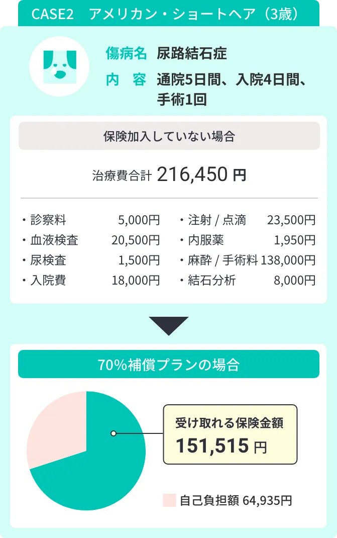 CASE 2 ミニチュア・ダックスフンド 8歳