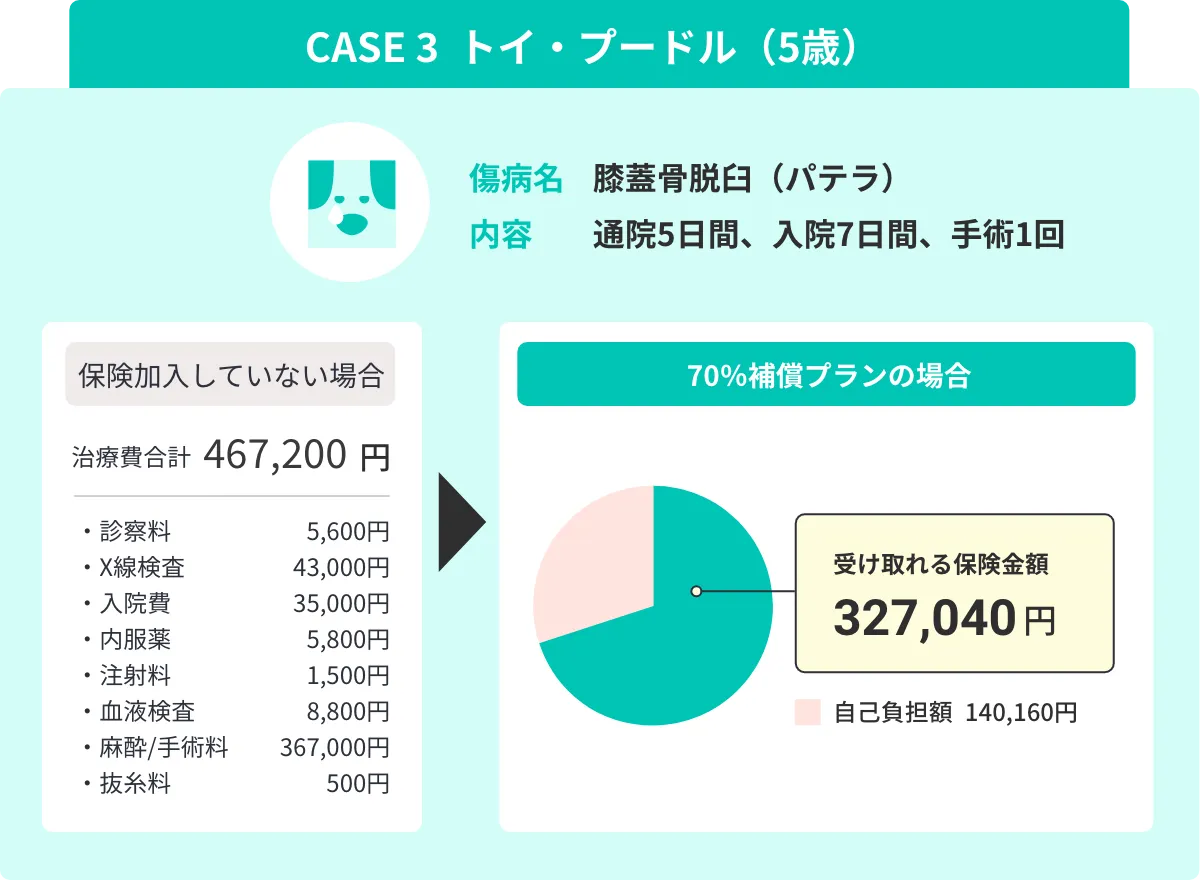 CASE 3 ゴールデン・レトリーバー 11歳CASE 2 ミニチュア・ダックスフンド 8歳