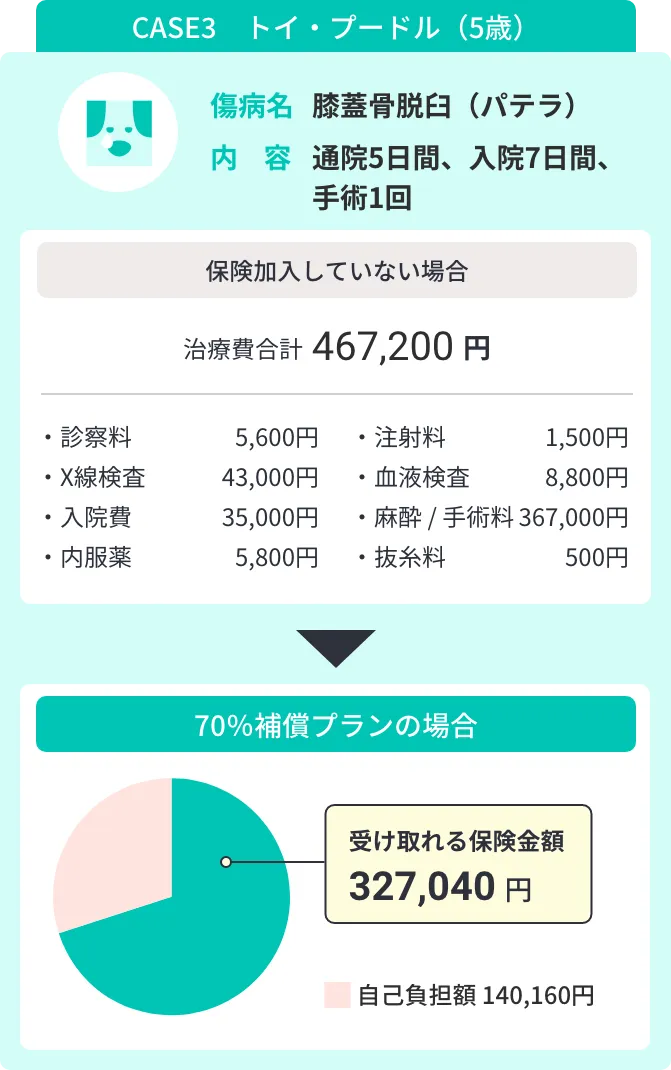 CASE 3 ゴールデン・レトリーバー 11歳