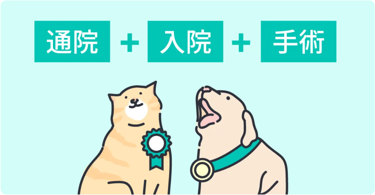 通院+入院+手術