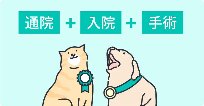 通院+入院+手術