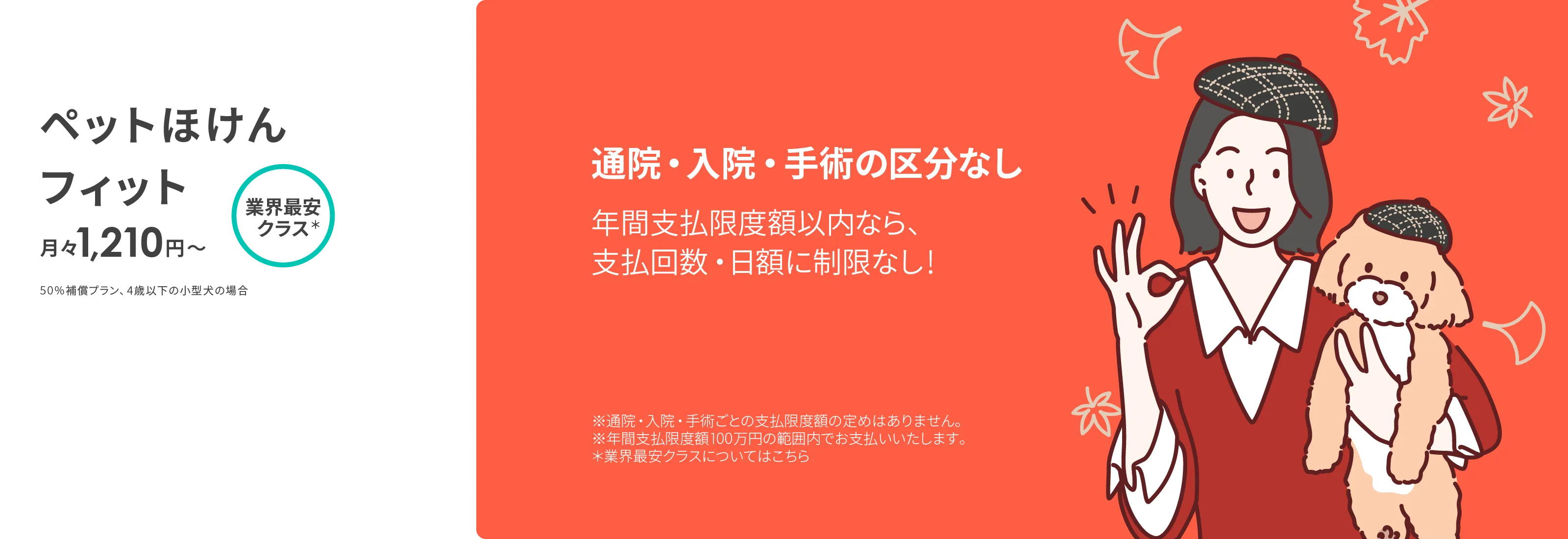 ペットほけんフィットの商品説明_pc