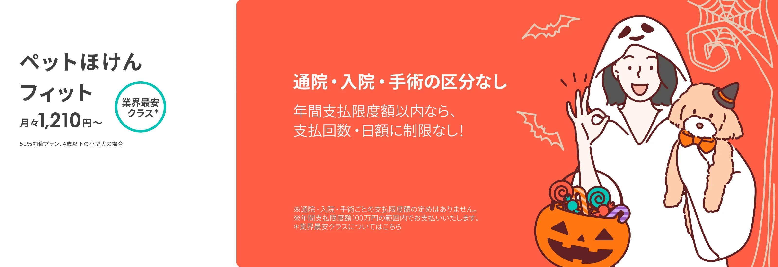 ペットほけんフィットの商品説明_pc