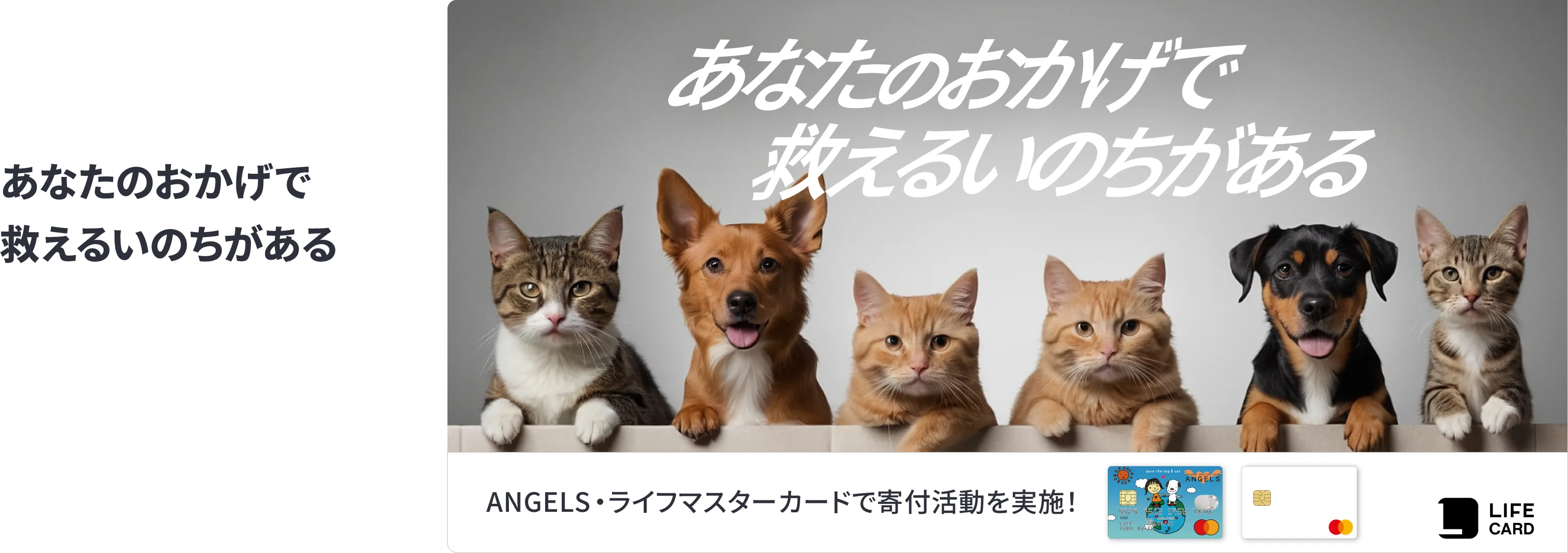 エンジェルス・ライフマスターカードで寄付活動を実施！