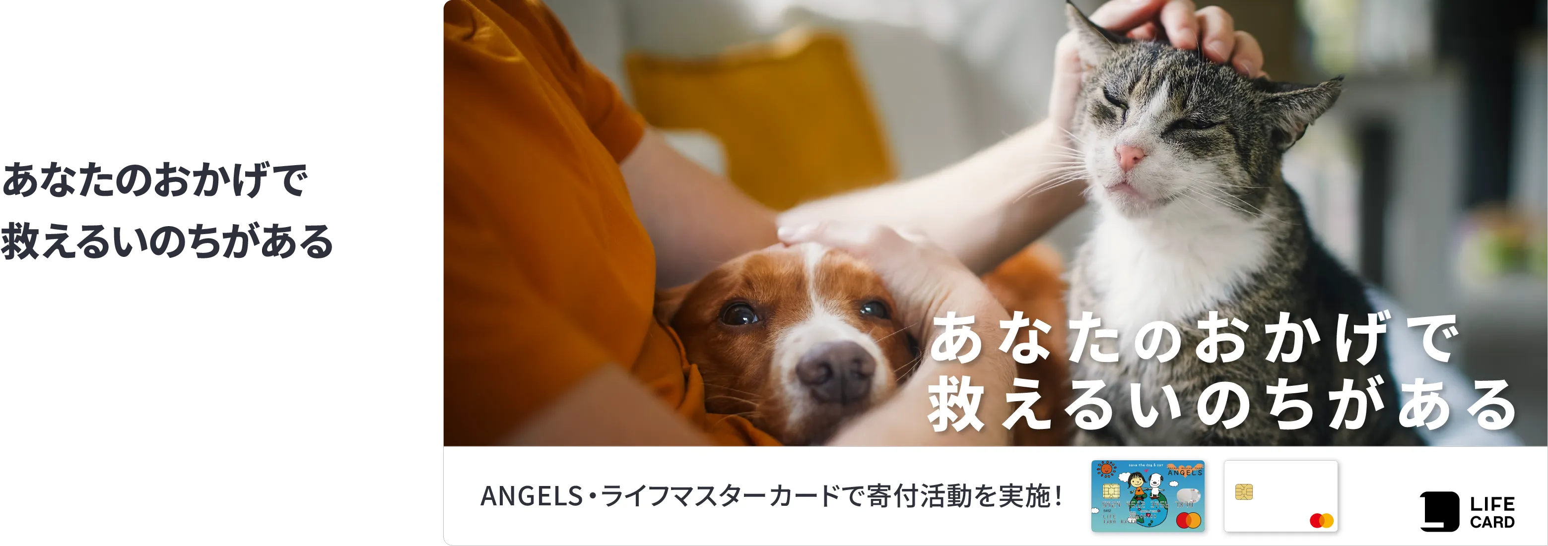 エンジェルス・ライフマスターカードで寄付活動を実施！