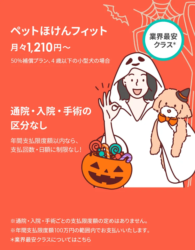 ペットほけんフィットの商品説明_sp