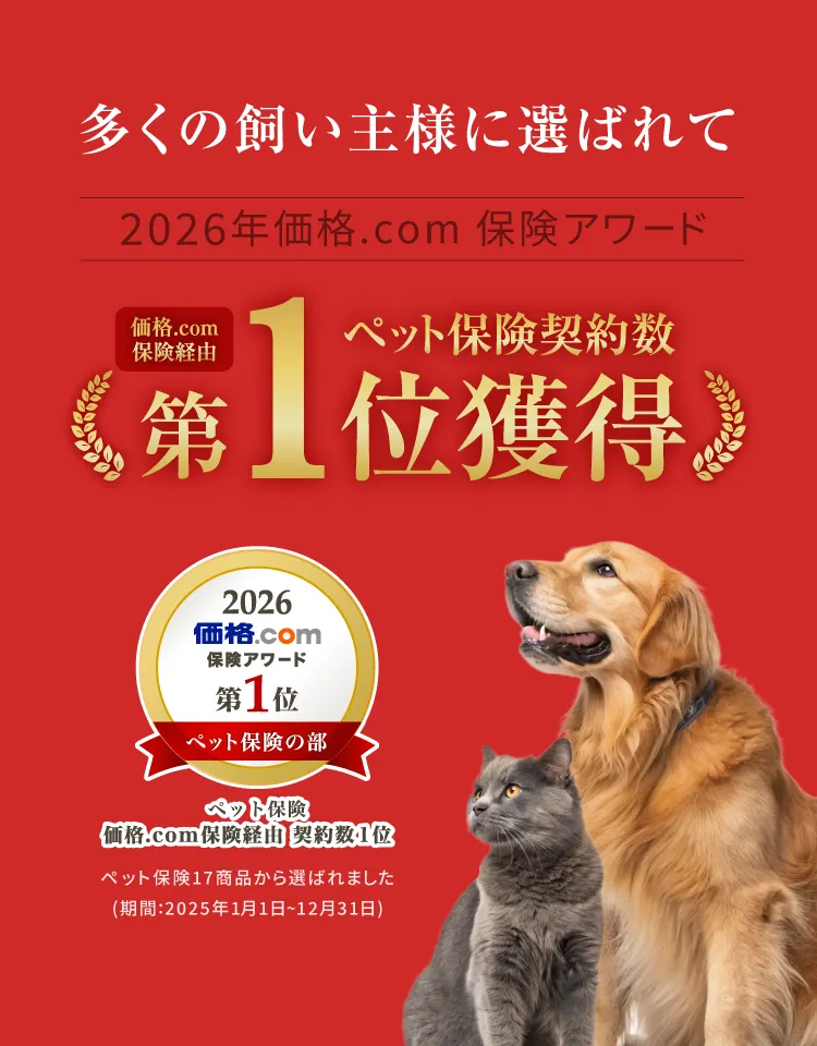 価格.comアワード2026第一位獲得のスライド_sp