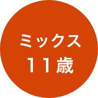 ミックス 11歳