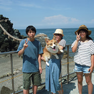 海で家族と写真を撮るウェルシュ・コーギー